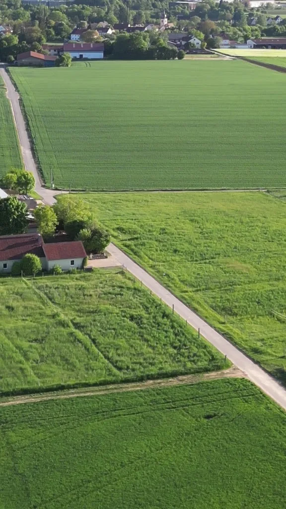 Landwirtschaftsbetrieb Roland Frank - Foto 1