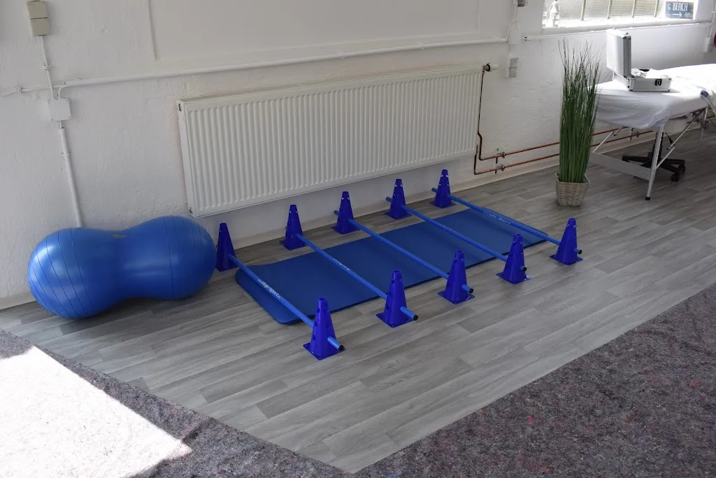 Rehazentrum für Pferde & Hunde - Equicane Therapie - Foto 2