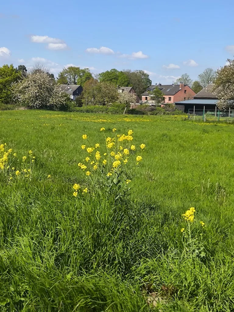 Reitstall Eitel - Foto 1
