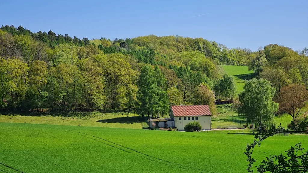Pferdehof Sonnenblick - photo 3