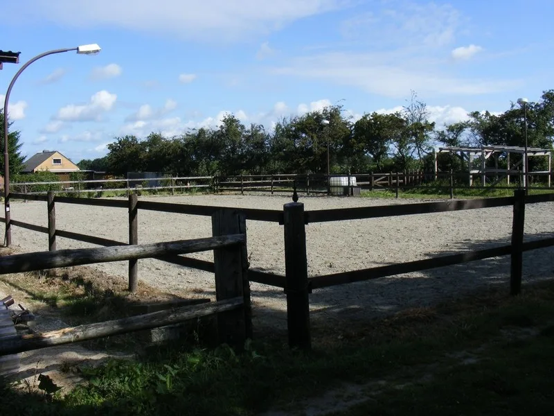 Reitstall Westerhof - Nina Sick - Foto 3