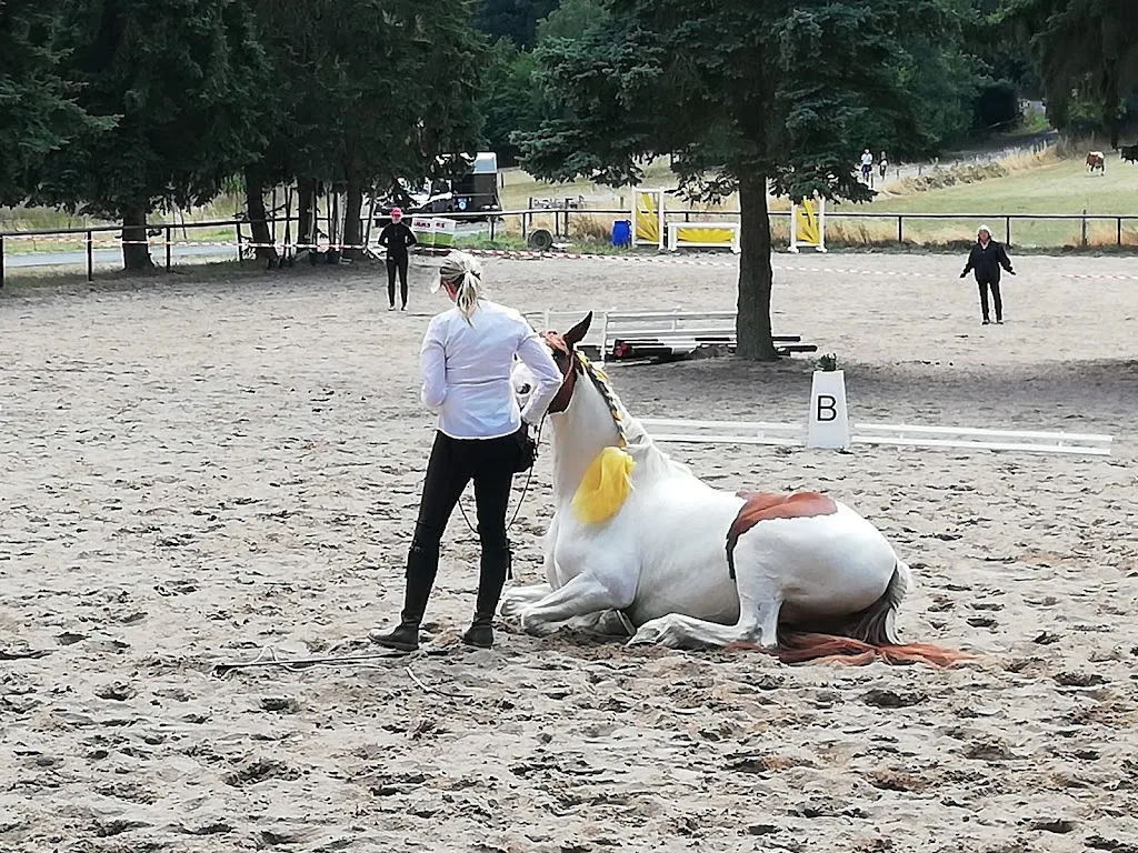 Reithalle Rechtenbach - photo 1