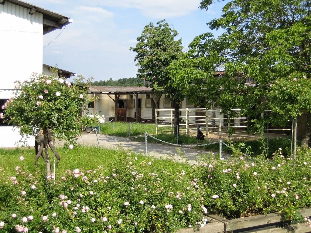 Reithalle Rechtenbach - photo 2