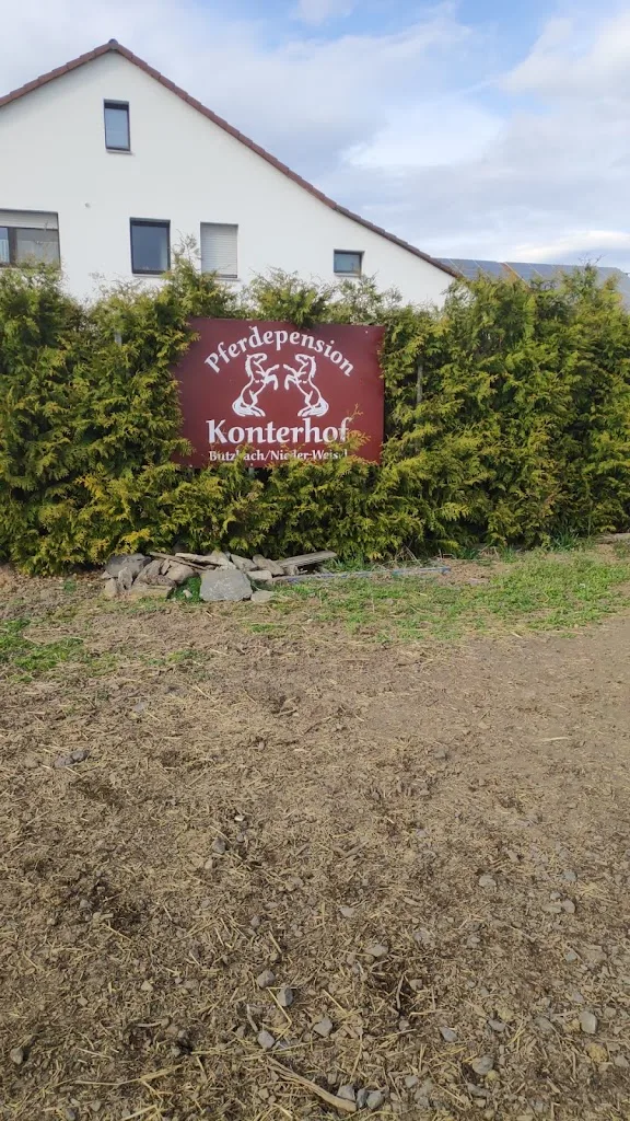 Gestüt Riedmühle Gmbh - photo 2