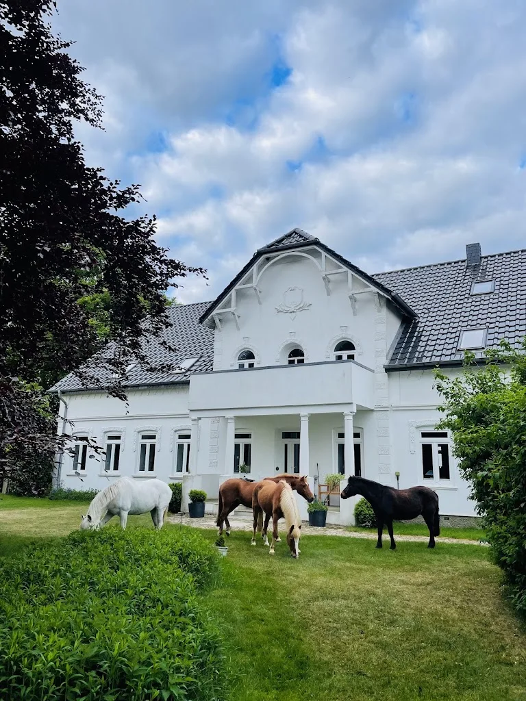 Ankerpferde - Foto 1