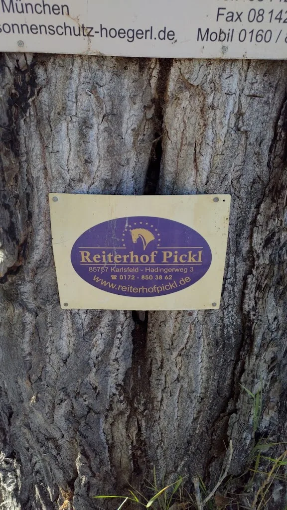Reiterhof Pickl - Foto 2