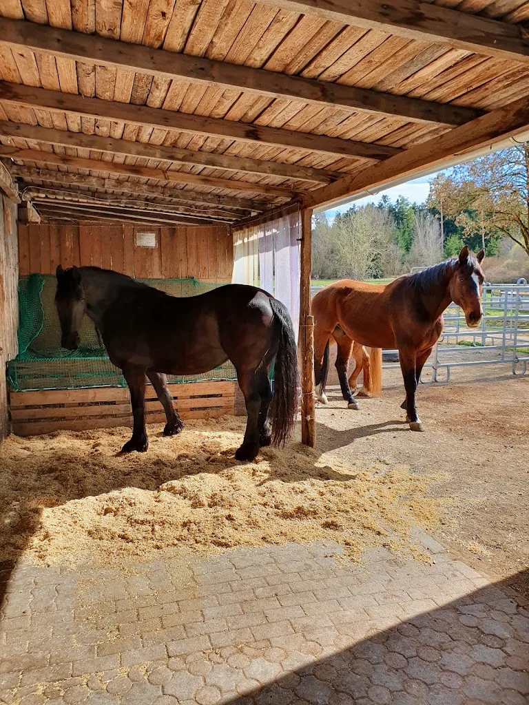 KrollRanch GbR - photo 2