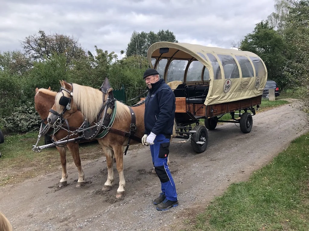 Haflinger Ranch - Foto 1