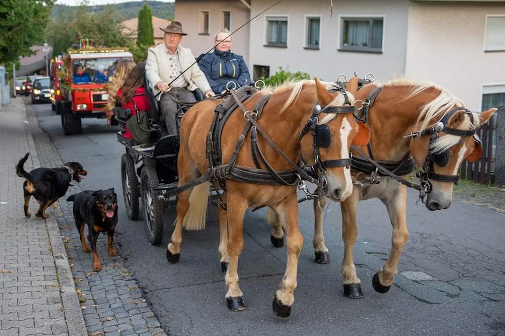 Haflinger Ranch - Foto 3