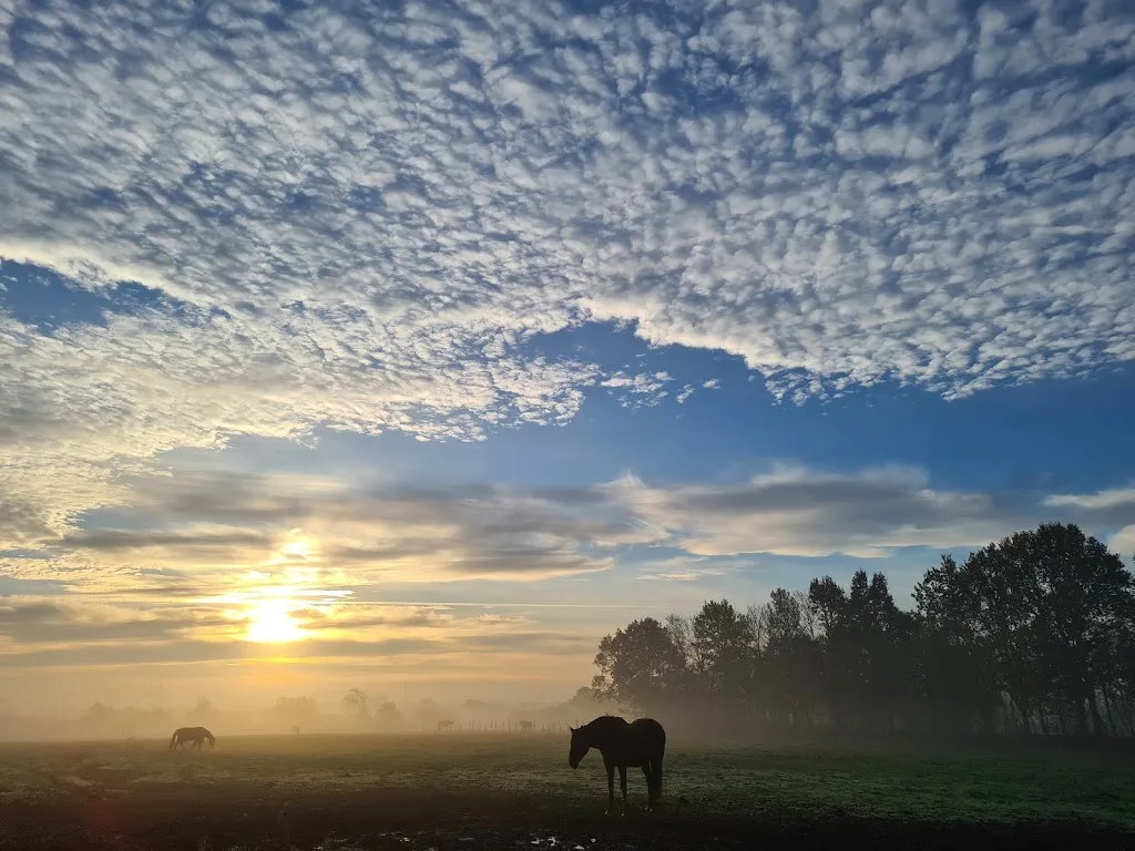 Reitstall An Der Eiche - Foto 2