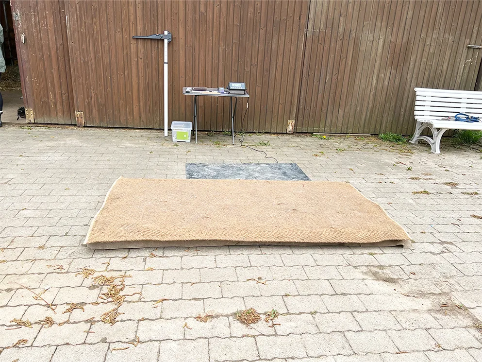 Reitzeit - Foto 1