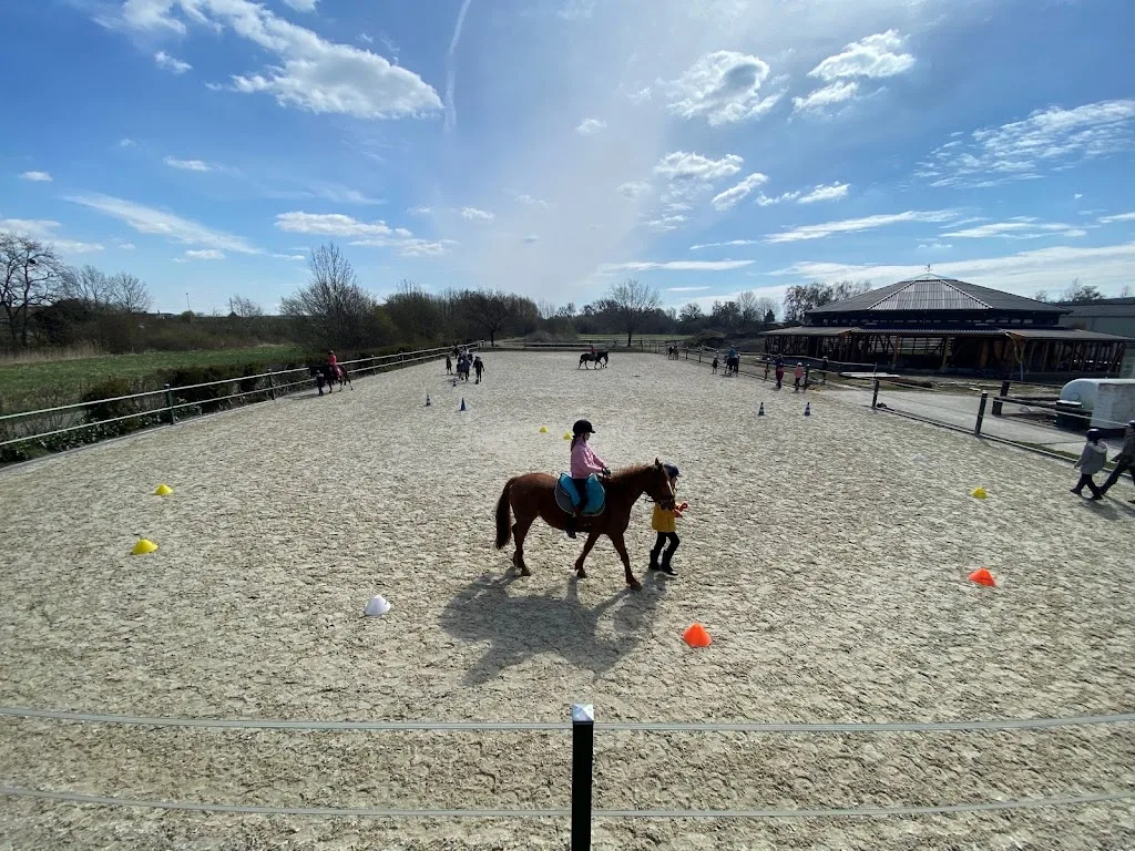 Reittherapeutisches Zentrum Salzgitter-Calbecht - Foto 2