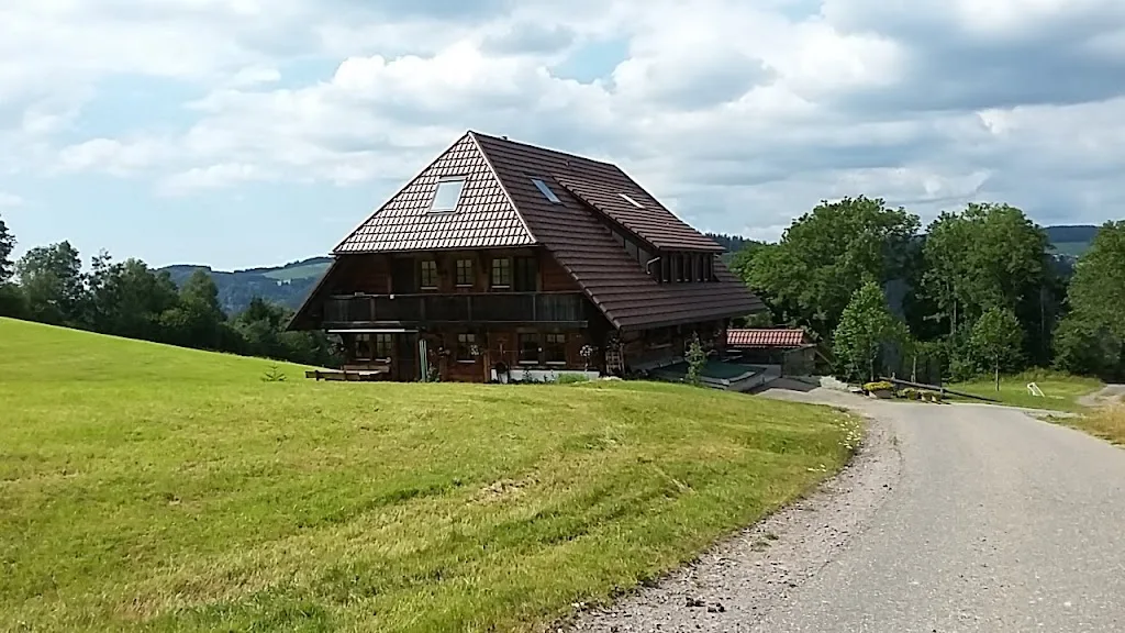 Islandpferdegestüt Scherzingerhof - Foto 1