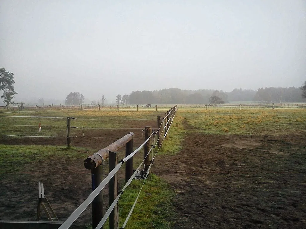 Aktivstall Nudow - Foto 2