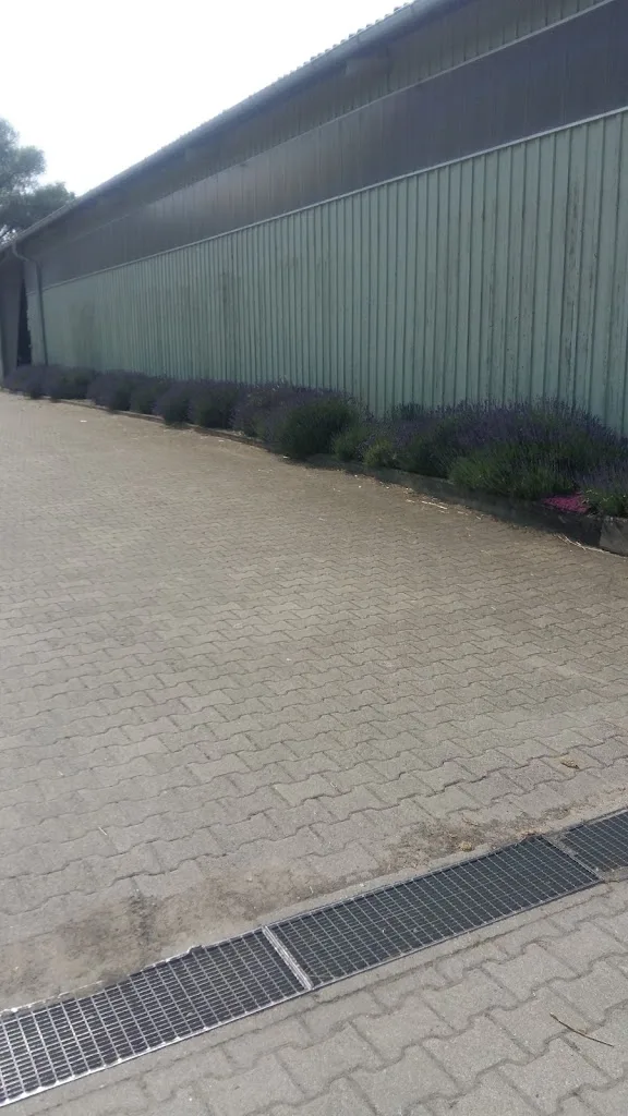 Sportpferde-Zentrum Hirtenhof GmbH - Foto 1