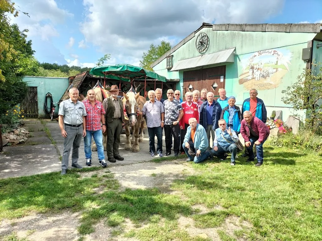 Pferdehof zur Elbaue - Foto 1