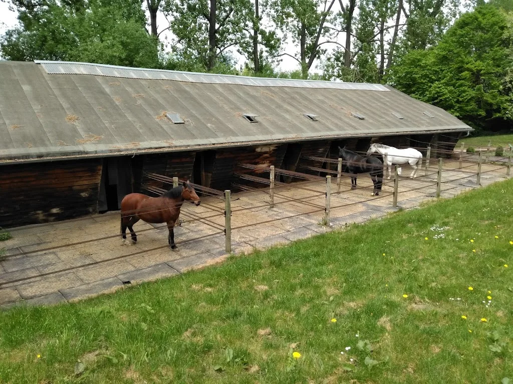 Aktivlaufstall Waldhummelhof - photo 2