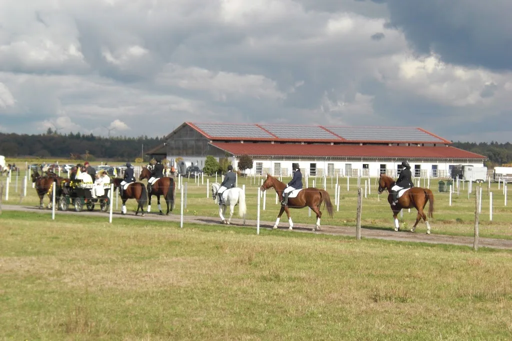 Palatino Ranch - photo 2