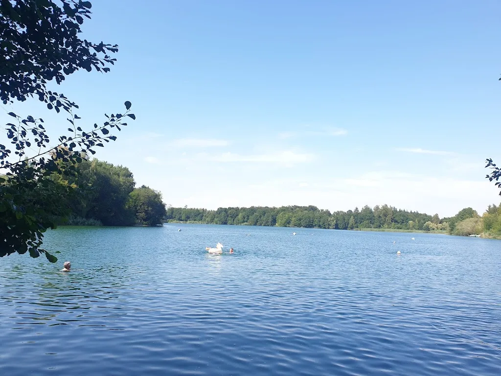 Islandpferde Hundsrücken - Foto 3