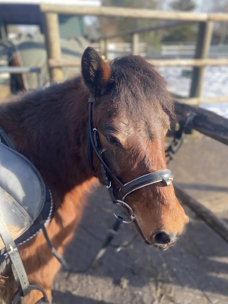 Reithalle E. K - photo 3