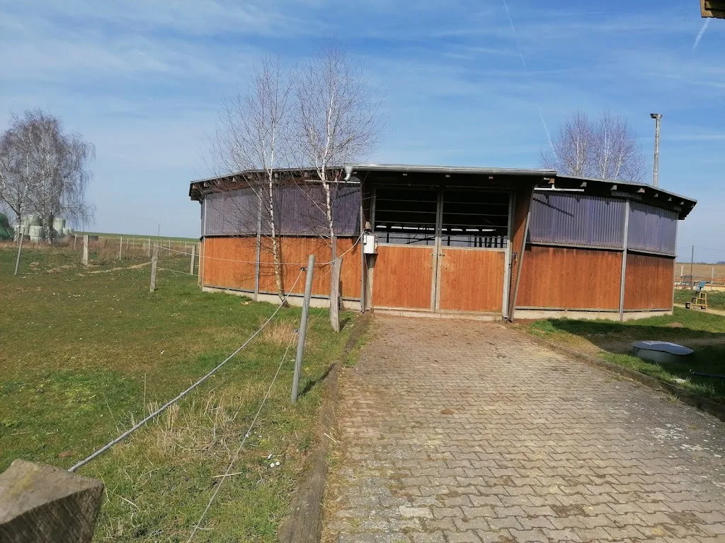 Reitanlage Birkenhof - Foto 2