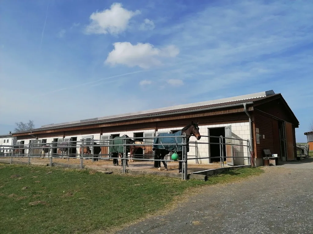 Reitanlage Birkenhof - Foto 3