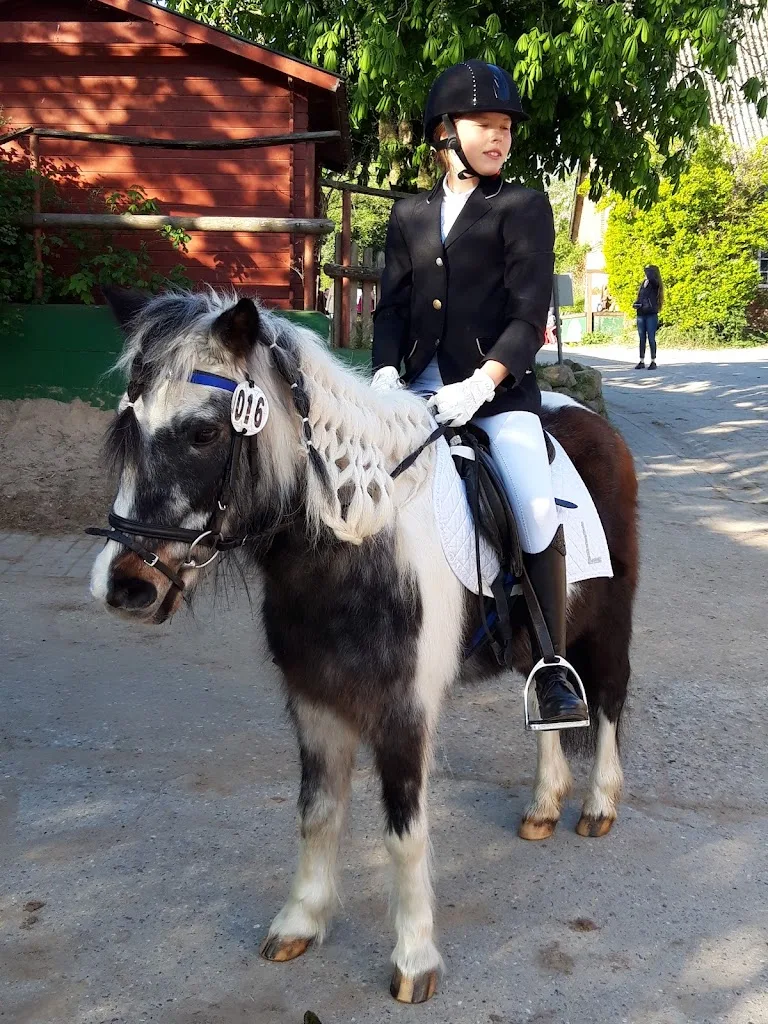 Reiterhof Gläserkoppel Susanne Först - Foto 1