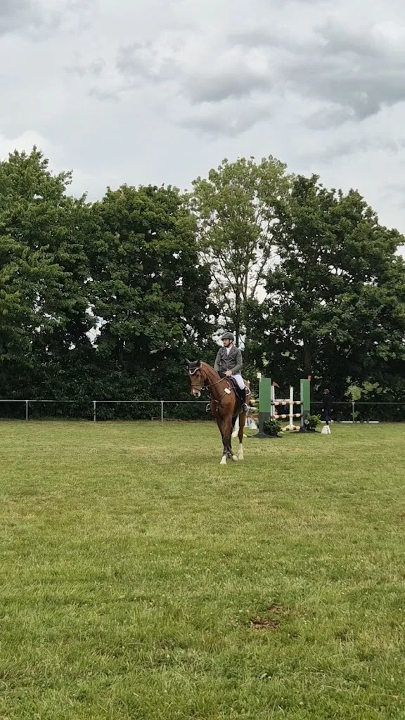 Reitstall Krämer - photo 2