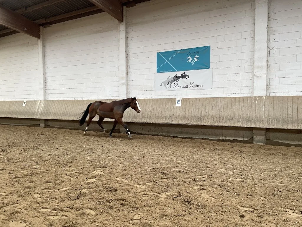 Reitstall Krämer - photo 3