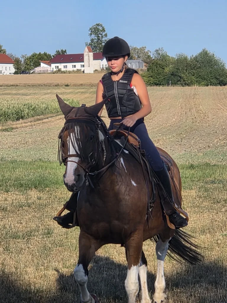 LBR Ranch - Pferdepension u. Reitschule - Foto 2