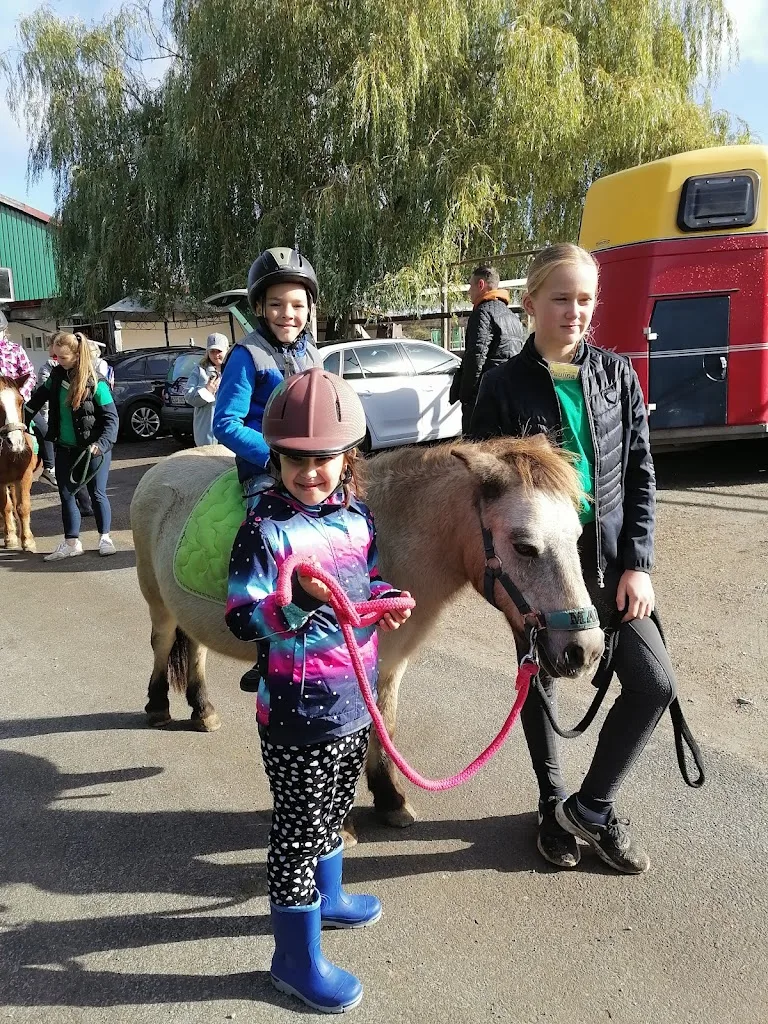 Wolsdorfer Ponyschule - Foto 3