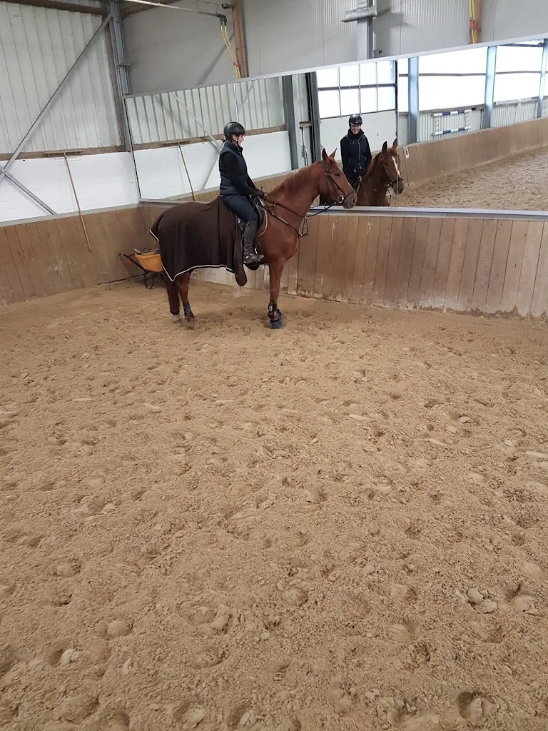 Pepper-Reiten GmbH & Co. KG - Foto 3