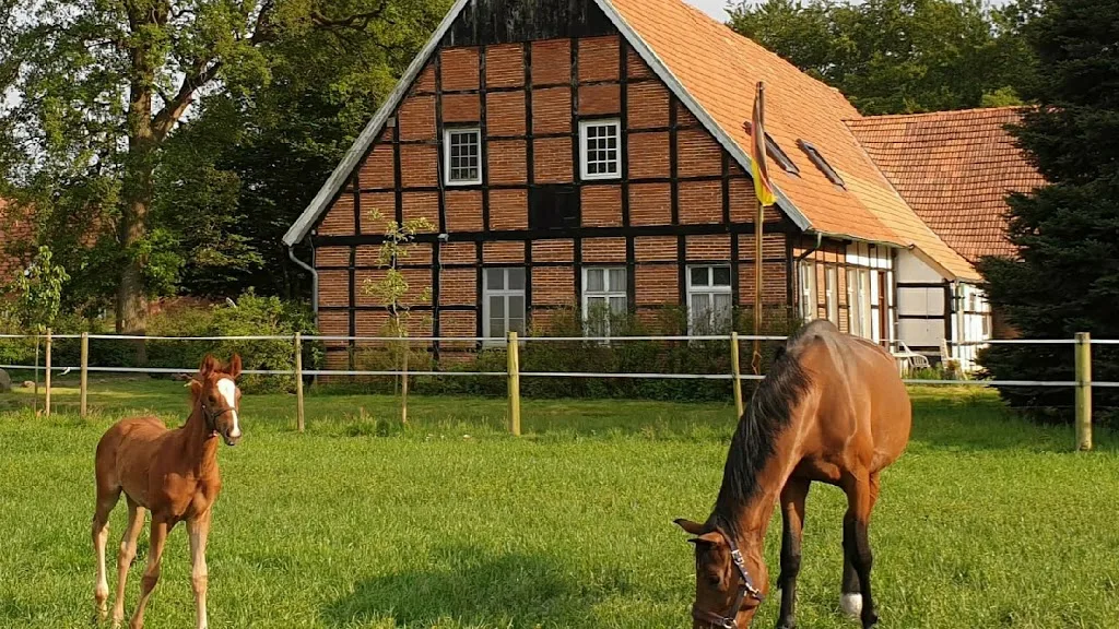 Hof Landskron - photo 3