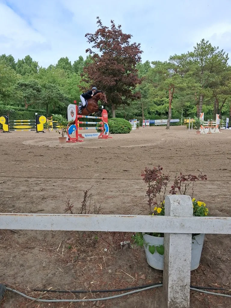 Reitanlage Heinrichshof - Foto 2