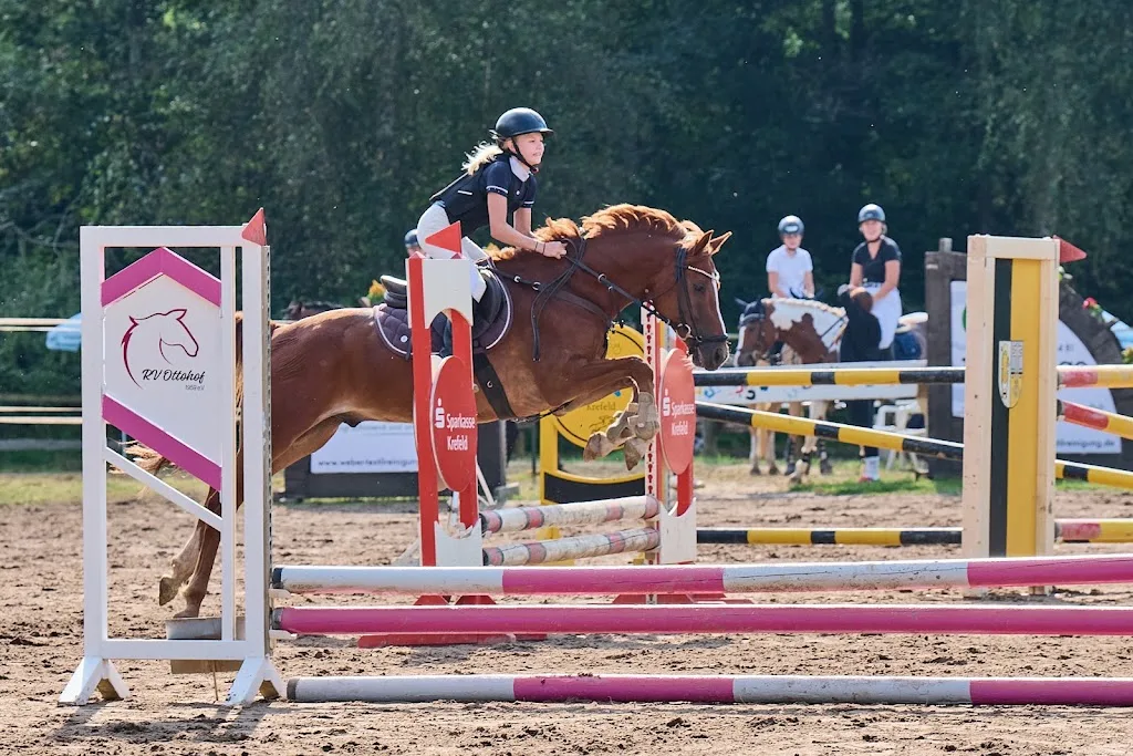 Reitanlage Heinrichshof - Foto 3