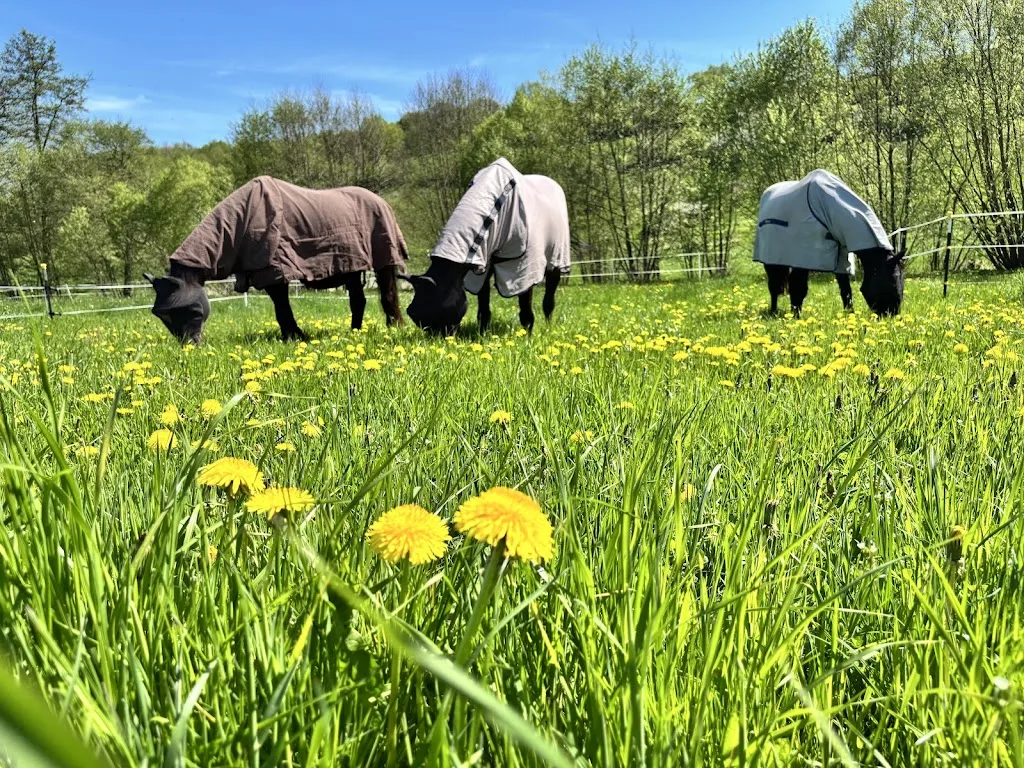 Gut Faßdorf - Foto 1