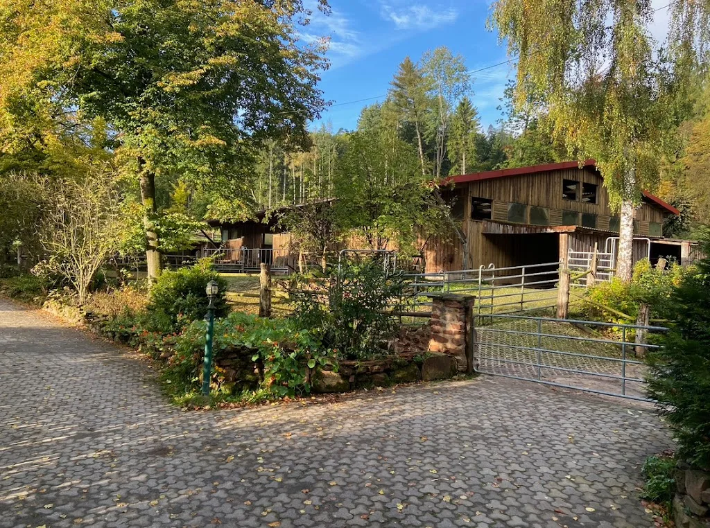 Gut Faßdorf - Foto 2