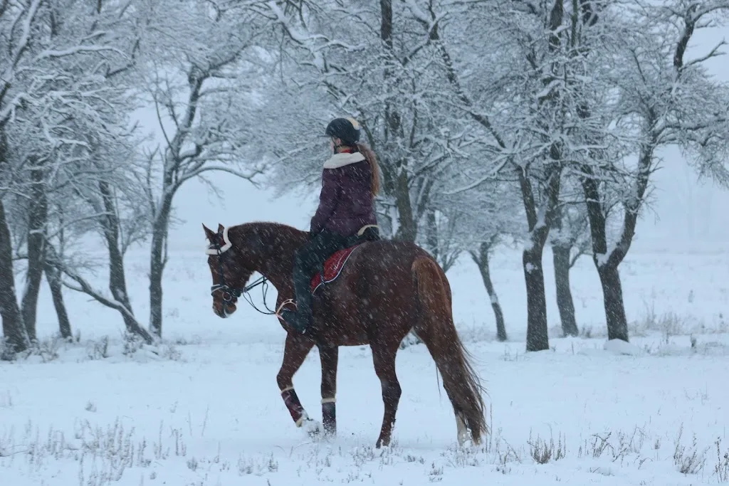 Reitanlage Passow Reiten mit Freunden - photo 1
