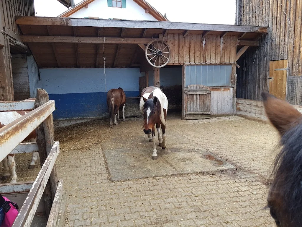 Pferdehof Schöner, Honeymoon Ranch - photo 2
