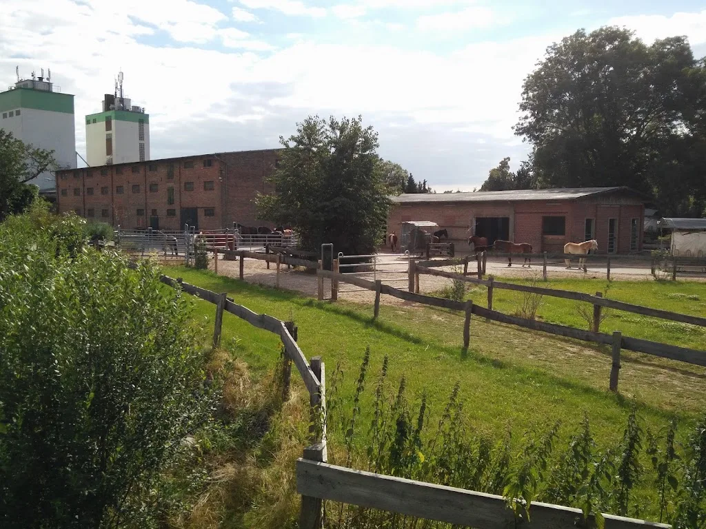 Bewegungsstall - Immendorf - photo 1
