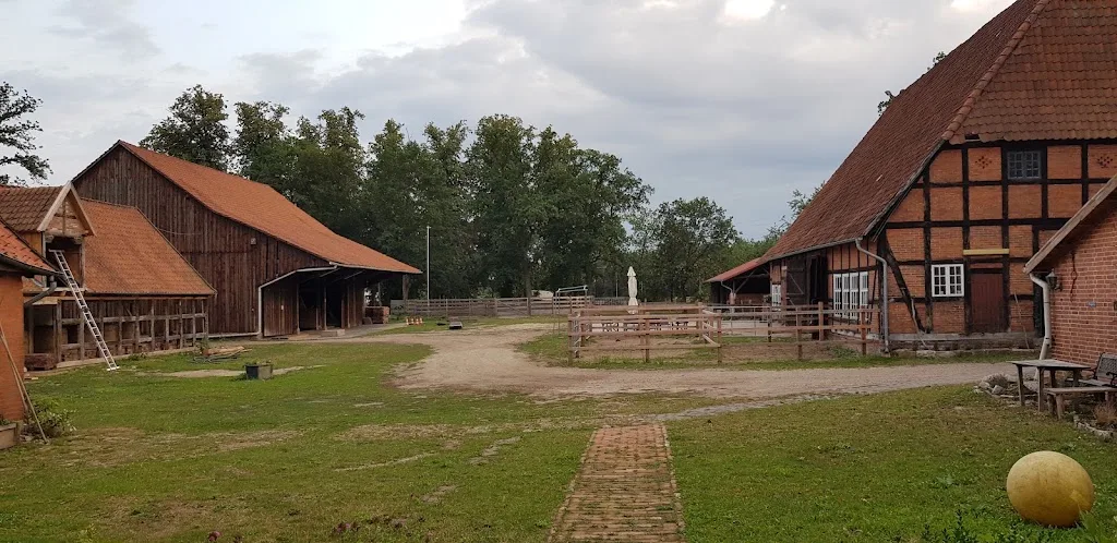 Pferde auf Uhlenborg - Foto 1