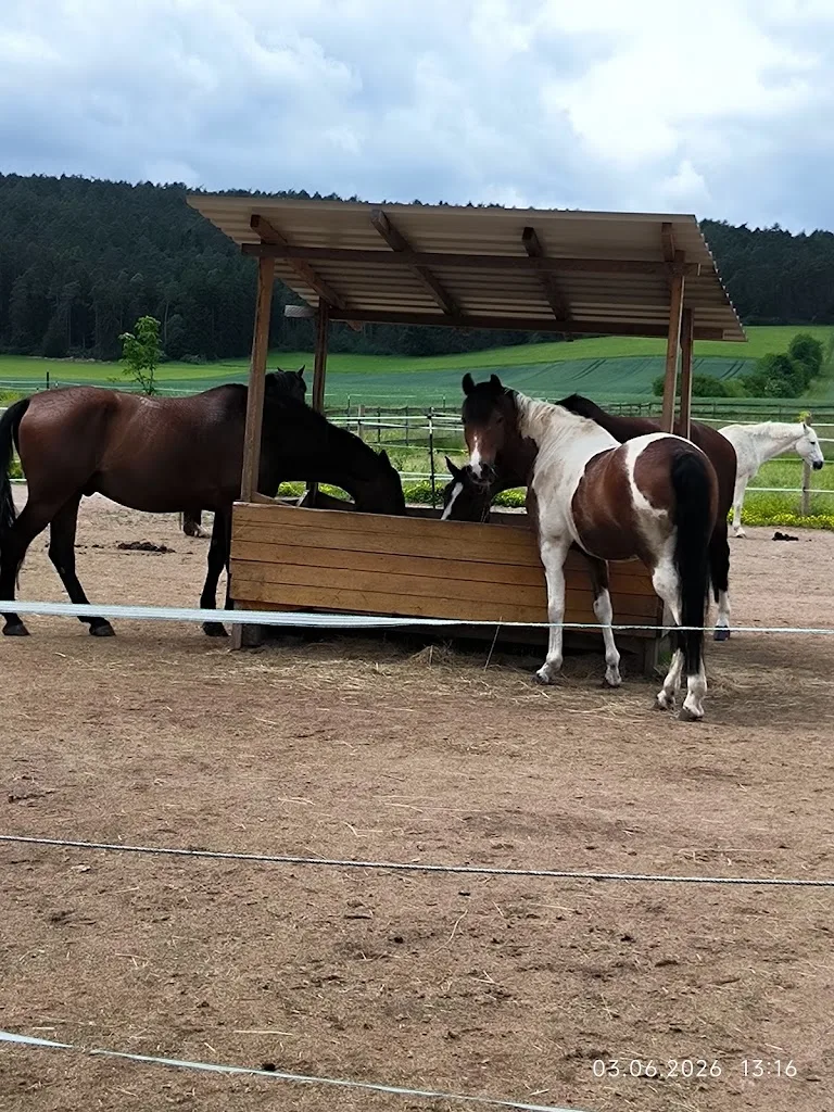 Wageshof Rhön - photo 2