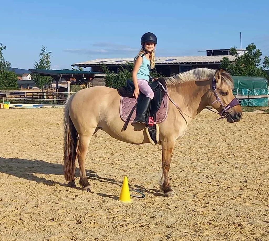 Reitschule Rodau - Foto 3