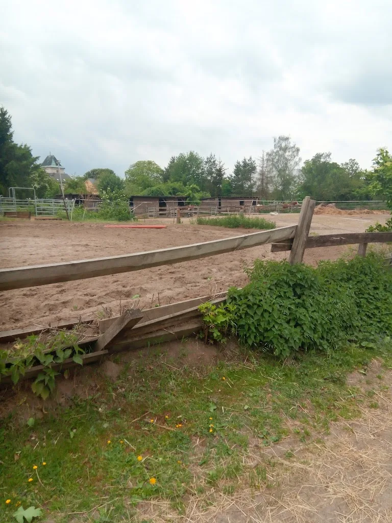 Pferdehof Schönerlinde - photo 1