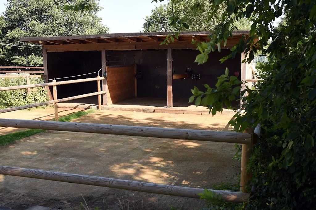 Reitsportzentrum Hüttblek - Foto 2