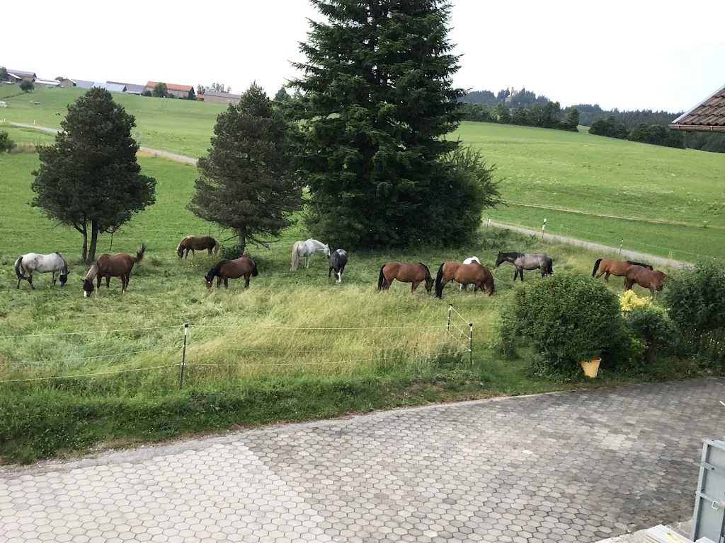 HAF-Pferde-Aktiv-Stall - Foto 1