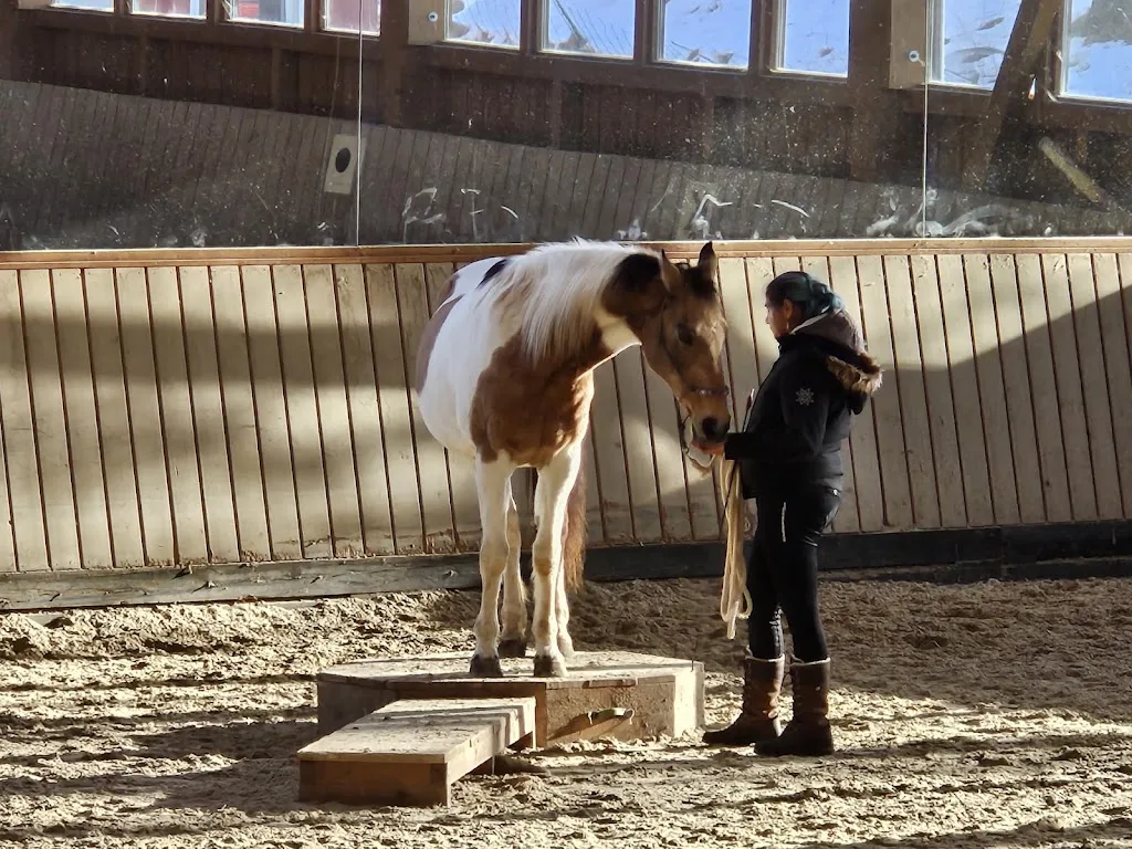 Samedi Stables - Foto 2