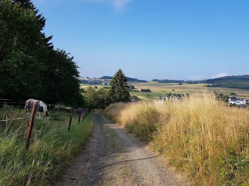 Beilsteiner Hof - photo 2