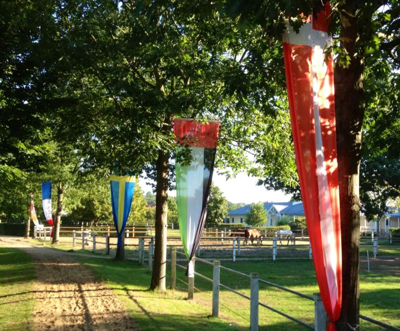 Sportpferde Scholz - photo 2