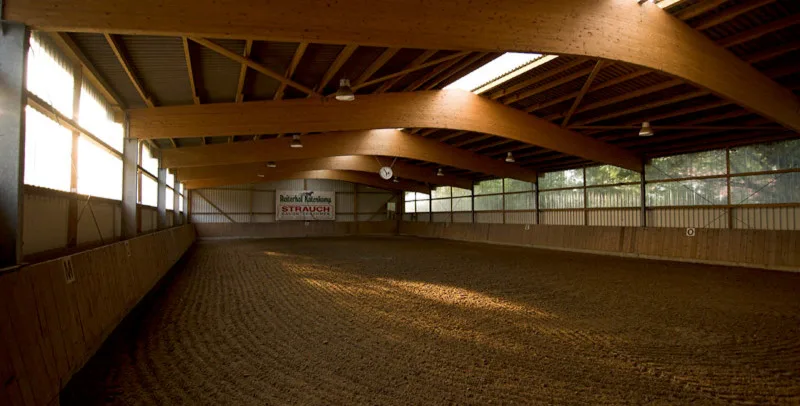 Ponyfarm am Mittelweg - photo 1